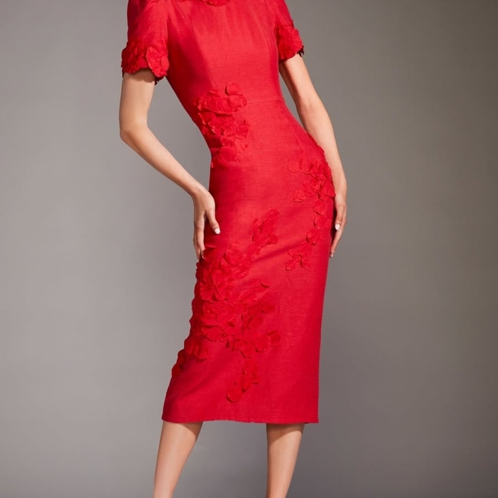 ANTONIO MELANI WILLOW FLORAL APLIQUE DRESS
